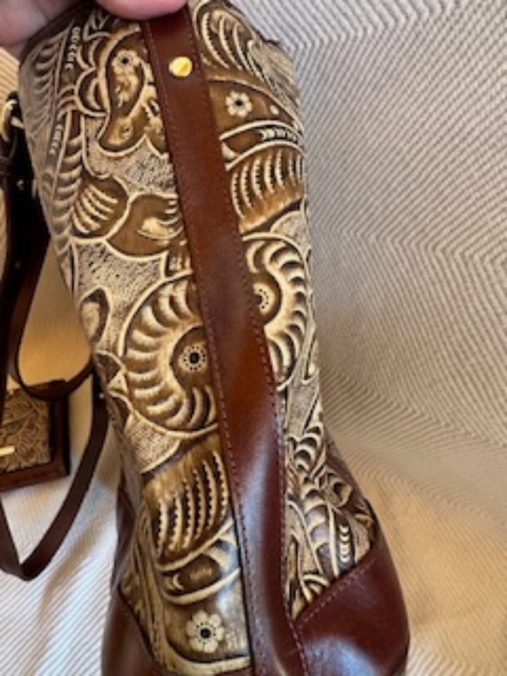 BRAHMIN - Picture 8 of 14